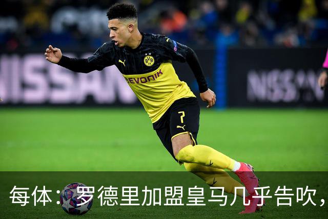 每体：罗德里加盟皇马几乎告吹，皇马的报价没有说服他